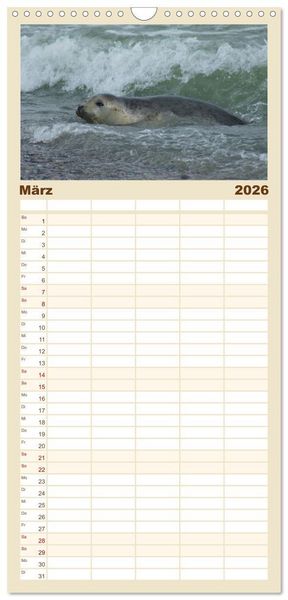 Produktbild: Familienplaner 2026 - Das Leben der Robben mit 5 Spalten (Wandkalender, 21 x 45 cm) CALVENDO