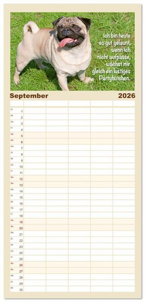 Produktbild: Familienplaner 2026 - Mopsala: Vom Gl&uuml;ck, ein Mops zu sein mit 5 Spalten (Wandkalender, 21 x 45 cm) CALVENDO