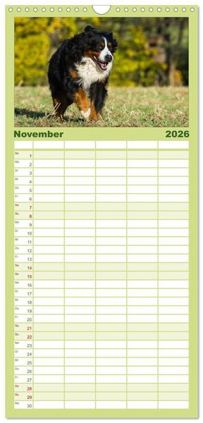 Produktbild: Familienplaner 2026 - Treuer Freund Berner Sennenhund mit 5 Spalten (Wandkalender, 21 x 45 cm) CALVENDO