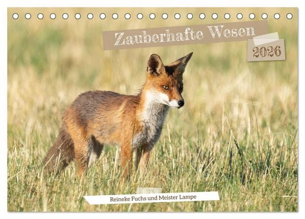Produktbild: Zauberhafte Wesen - Reineke Fuchs und Meister Lampe (Tischkalender 2026 DIN A5 quer), CALVENDO Monatskalender