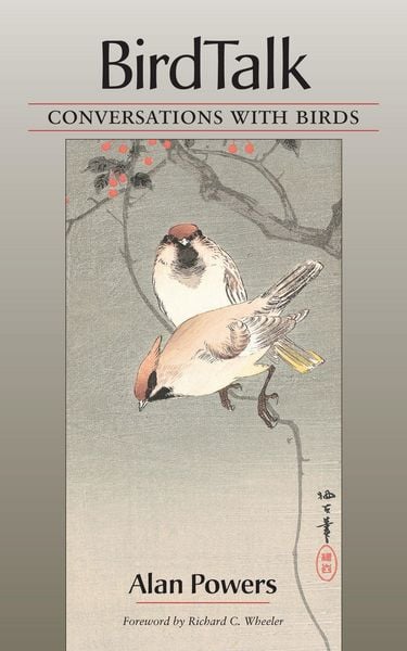Produktbild: Birdtalk