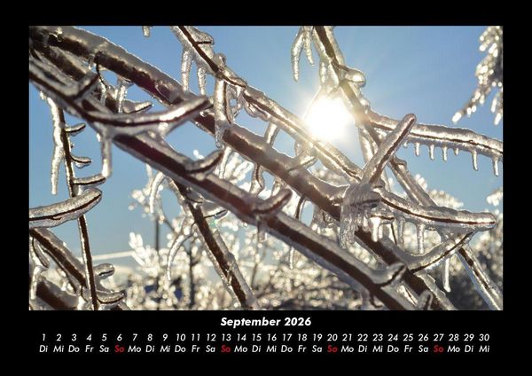 Produktbild: Natur 2026 Fotokalender DIN A3