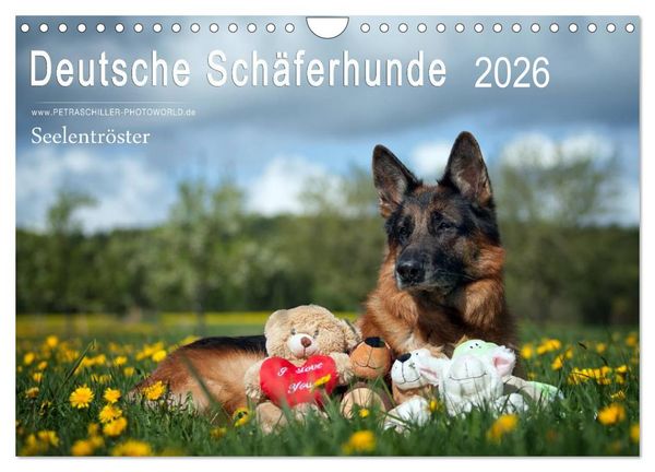 Deutsche Schäferhunde Seelentröster (Wandkalender 2026 DIN A4 quer), CALVENDO Monatskalender