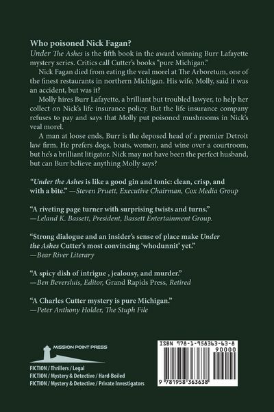 Produktbild: Under the Ashes
