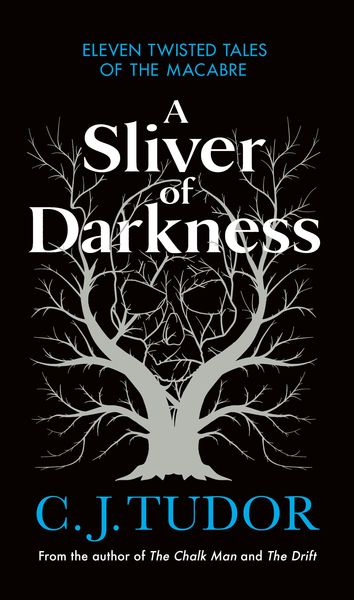 Produktbild: A Sliver of Darkness