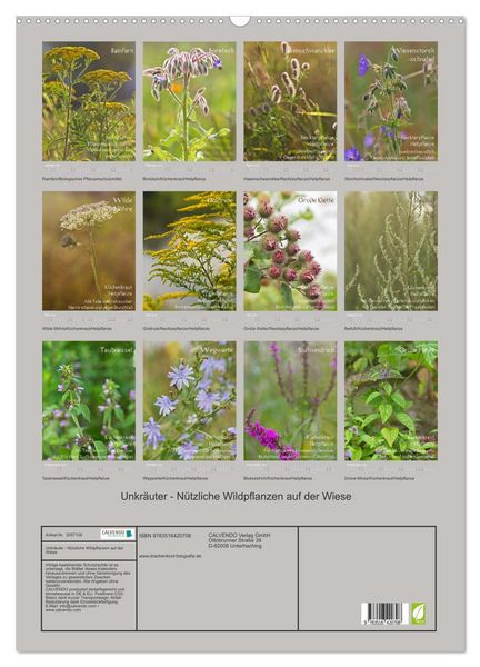 Produktbild: Unkr&auml;uter - N&uuml;tzliche Wildpflanzen auf der Wiese (Wandkalender 2026 DIN A2 hoch), CALVENDO Monatskalender
