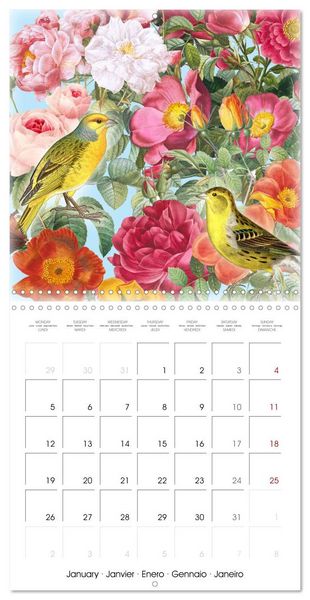 Produktbild: Dans le jardin de Monsieur Pierre-Joseph Redout&eacute; (Calendrier mural carr&eacute; 2026 30x30 cm) Calendrier double avec une page pour vos prises de notes