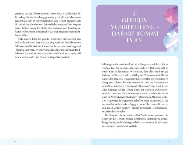 Produktbild: Dein Geburtscoach