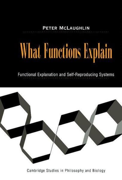Produktbild: What Functions Explain