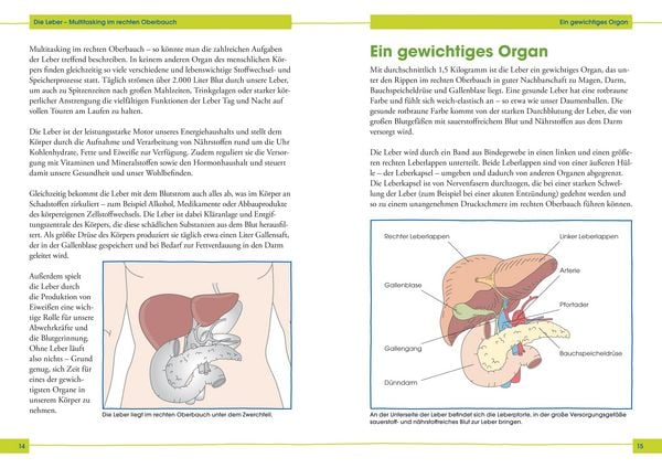 Produktbild: So kriegt die Leber ihr Fett weg!