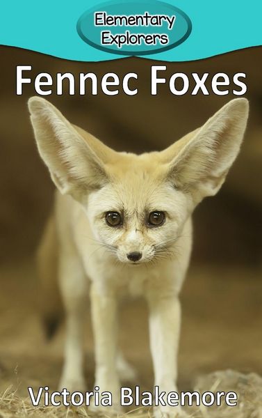 Produktbild: Fennec Foxes