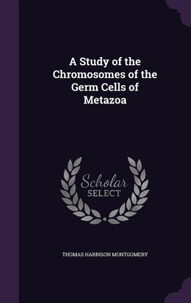 Produktbild: A Study of the Chromosomes of the Germ Cells of Metazoa