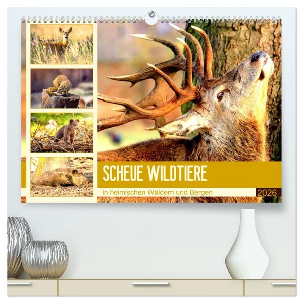 Produktbild: Scheue Wildtiere in heimischen W&auml;ldern und Bergen (hochwertiger Premium Wandkalender 2026 DIN A2 quer), Kunstdruck in Hochglanz