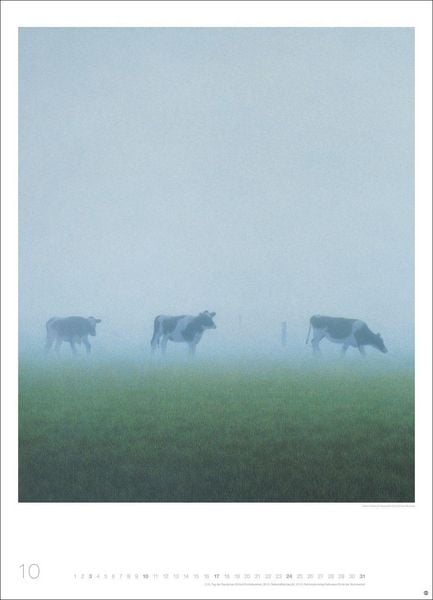 Produktbild: Quint Buchholz: Augenblicke Kalender 2027