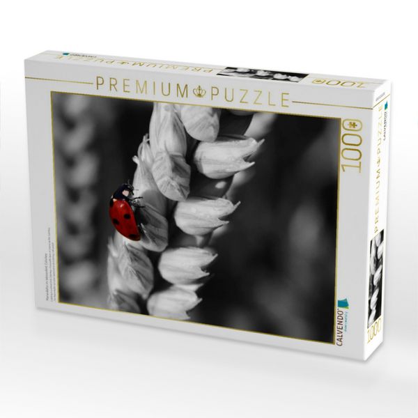 Produktbild: CALVENDO Puzzle Marienk&auml;fer im Weizenfeld, Colorkey | 1000 Teile Lege-Gr&ouml;&szlig;e 64x48cm Foto-Puzzle f&uuml;r gl&uuml;ckliche Stunden