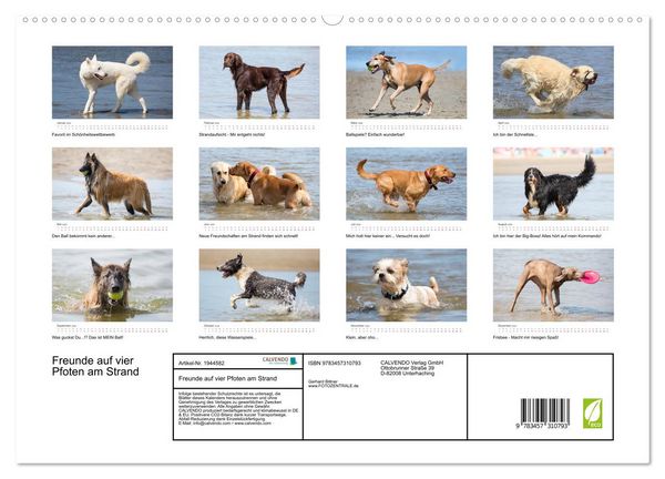 Produktbild: Freunde auf vier Pfoten am Strand (hochwertiger Premium Wandkalender 2026 DIN A2 quer), Kunstdruck in Hochglanz