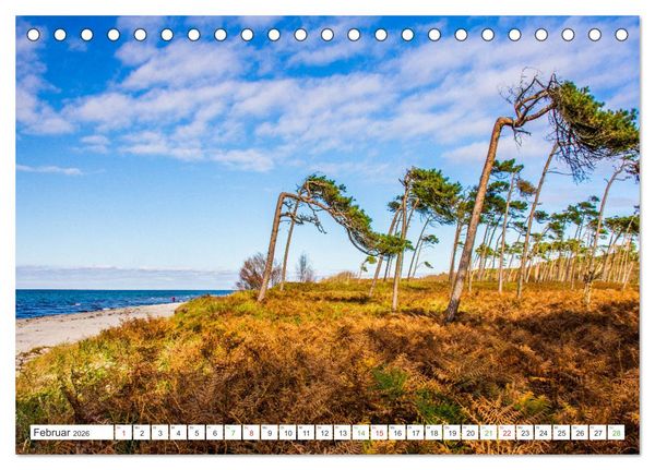 Produktbild: Mein buntes Mecklenburg (Tischkalender 2026 DIN A5 quer), CALVENDO Monatskalender