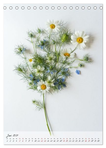 Produktbild: Zauberbl&uuml;ten (Tischkalender 2027 DIN A5 hoch), CALVENDO Monatskalender