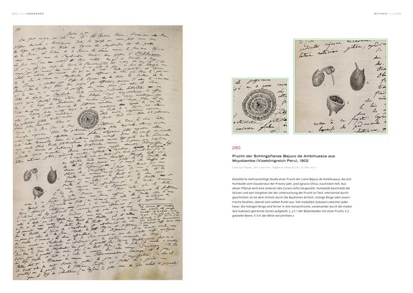 Produktbild: Alexander von Humboldt - Bilder-Welten