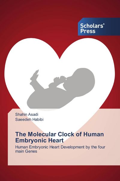 Produktbild: The Molecular Clock of Human Embryonic Heart