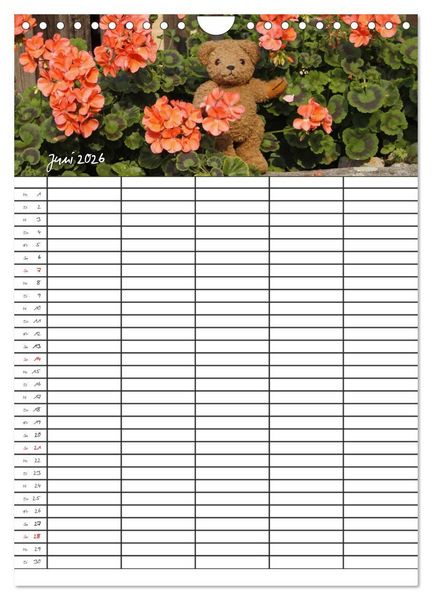 Produktbild: Der Teddyb&auml;ren-Familienplaner (Wandkalender 2026 DIN A4 hoch), CALVENDO Monatskalender