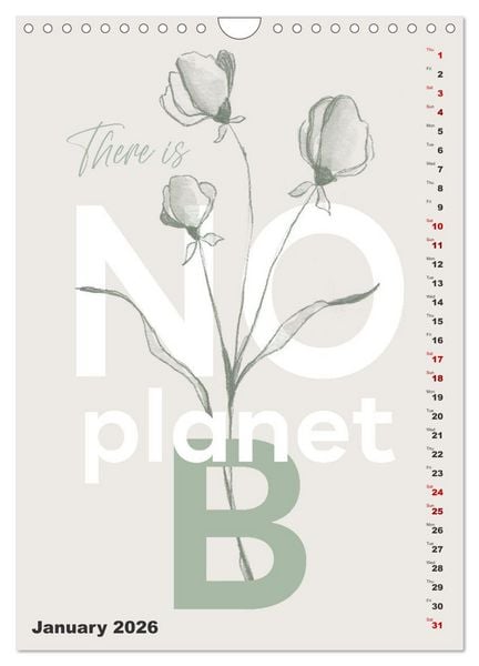Produktbild: Love your planet (Wall Calendar 2026 DIN A4 portrait), CALVENDO 12 Month Wall Calendar
