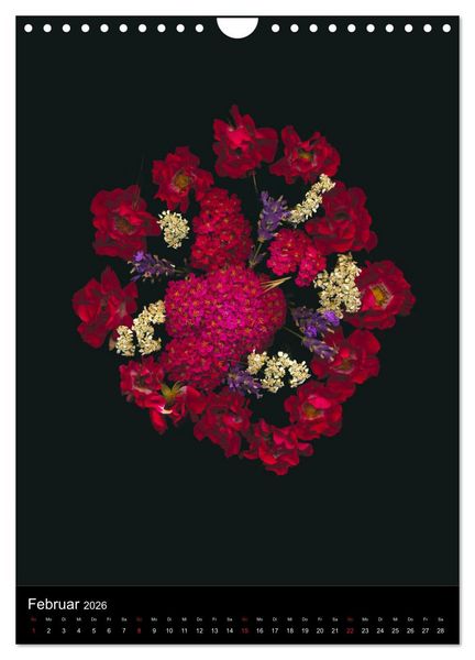 Produktbild: Blumen bei Nacht (Wandkalender 2026 DIN A4 hoch), CALVENDO Monatskalender