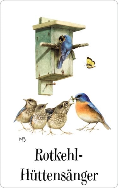 Produktbild: Schachtelspiel: Zauberhaftes Vogel-Memo (M. Bastin)