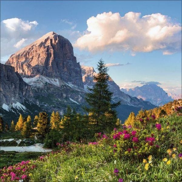 Produktbild: Alpen 2027