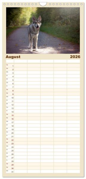 Produktbild: Familienplaner 2026 - Wolfshunde 2026 mit 5 Spalten (Wandkalender, 21 x 45 cm) CALVENDO