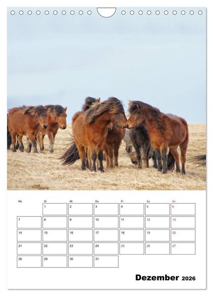 Produktbild: ISLANDPFERDE an der K&uuml;ste von Sn&aelig;fellsnes (Wandkalender 2026 DIN A4 hoch), CALVENDO Monatskalender