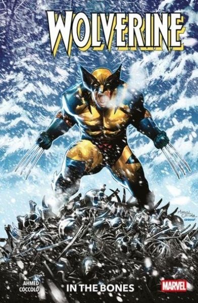 Produktbild: Wolverine Vol. 1