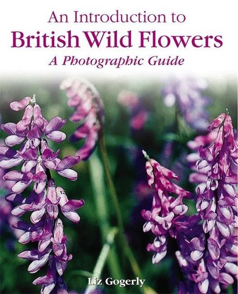 Produktbild: An Introduction to: British Wild Flowers