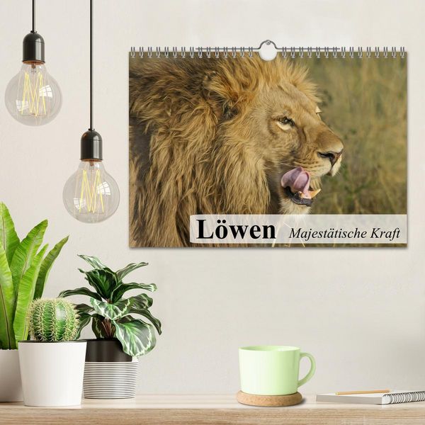 Produktbild: L&ouml;wen. Majest&auml;tische Kraft (Wandkalender 2026 DIN A4 quer), CALVENDO Monatskalender