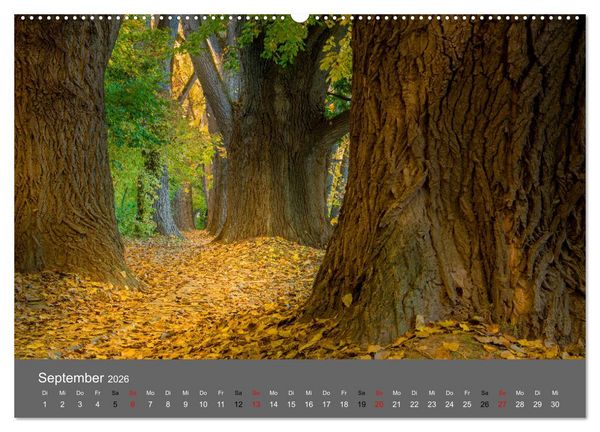 Produktbild: Regensburg - Stadtansichten (Wandkalender 2026 DIN A2 quer), CALVENDO Monatskalender