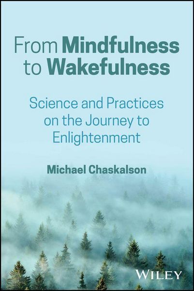 Produktbild: From Mindfulness to Wakefulness