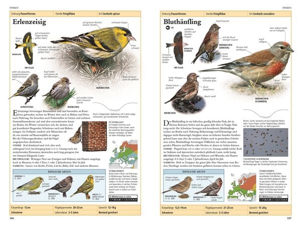 Produktbild: V&ouml;gel in Europa