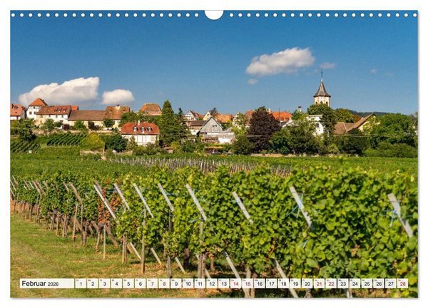 Produktbild: Die Els&auml;sser Weinstra&szlig;e (Wandkalender 2026 DIN A3 quer), CALVENDO Monatskalender
