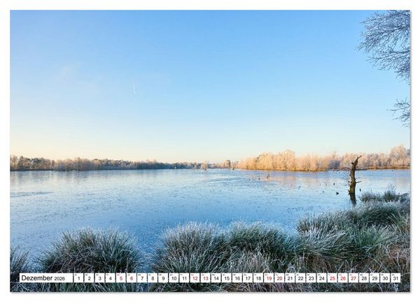 Produktbild: Impressionen aus dem Moor (hochwertiger Premium Wandkalender 2026 DIN A2 quer), Kunstdruck in Hochglanz