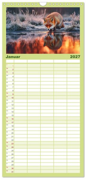 Produktbild: Familienplaner 2027 - Waldgefl&uuml;ster mit 5 Spalten (Wandkalender, 21 x 45 cm) CALVENDO