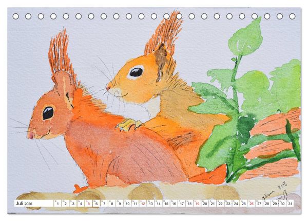Produktbild: Eichh&ouml;rnchen in Aquarell (Tischkalender 2026 DIN A5 quer), CALVENDO Monatskalender