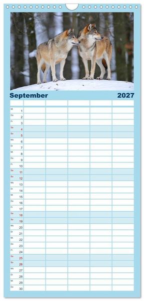 Produktbild: Familienplaner 2027 - Kanadische W&ouml;lfe im Winter mit 5 Spalten (Wandkalender, 21 x 45 cm) CALVENDO