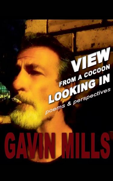 Produktbild: View From a Cocoon Looking In