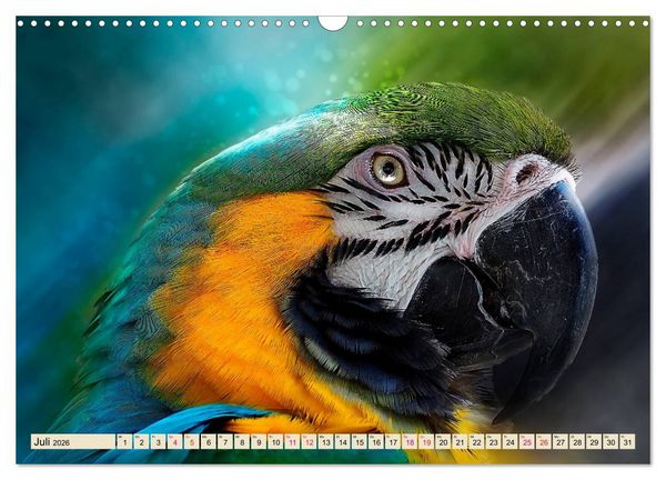 Produktbild: Mein bunter Papagei (Wandkalender 2026 DIN A3 quer), CALVENDO Monatskalender