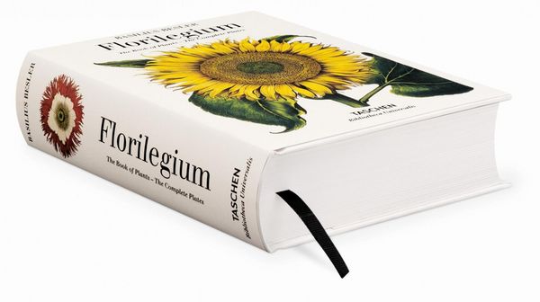 Produktbild: Basilius Besler. L'Herbier. Hortus Eystettensis