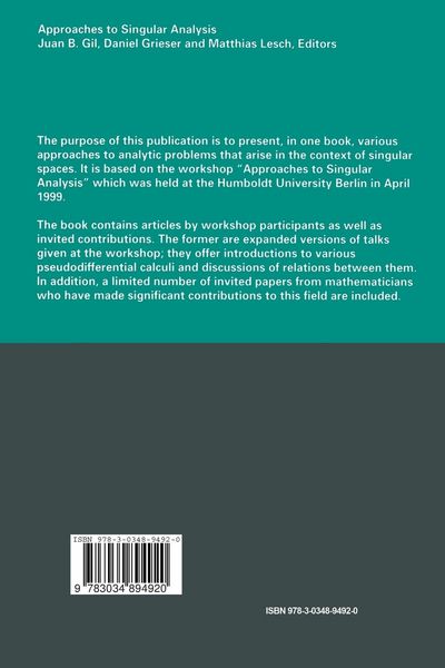 Produktbild: Approaches to Singular Analysis