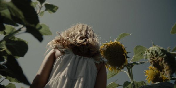 Produktbild: Heimsuchung