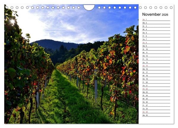 Produktbild: Landschaften des Kraichgaus (Wandkalender 2026 DIN A4 quer), CALVENDO Monatskalender