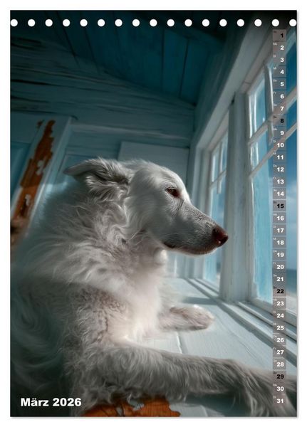 Produktbild: White Life (Tischkalender 2026 DIN A5 hoch), CALVENDO Monatskalender