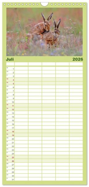Produktbild: Familienplaner 2026 - Feldhasen in H&ouml;chstform mit 5 Spalten (Wandkalender, 21 x 45 cm) CALVENDO